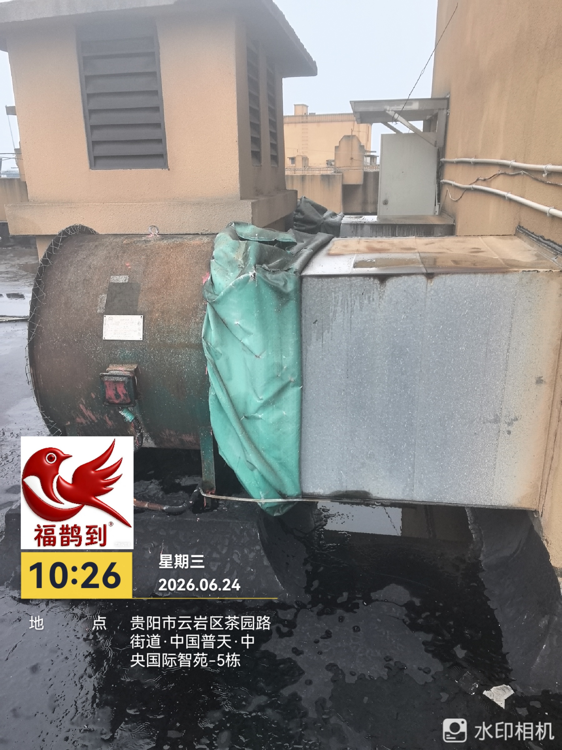 中央国际勘察照片2026.6.24（1）