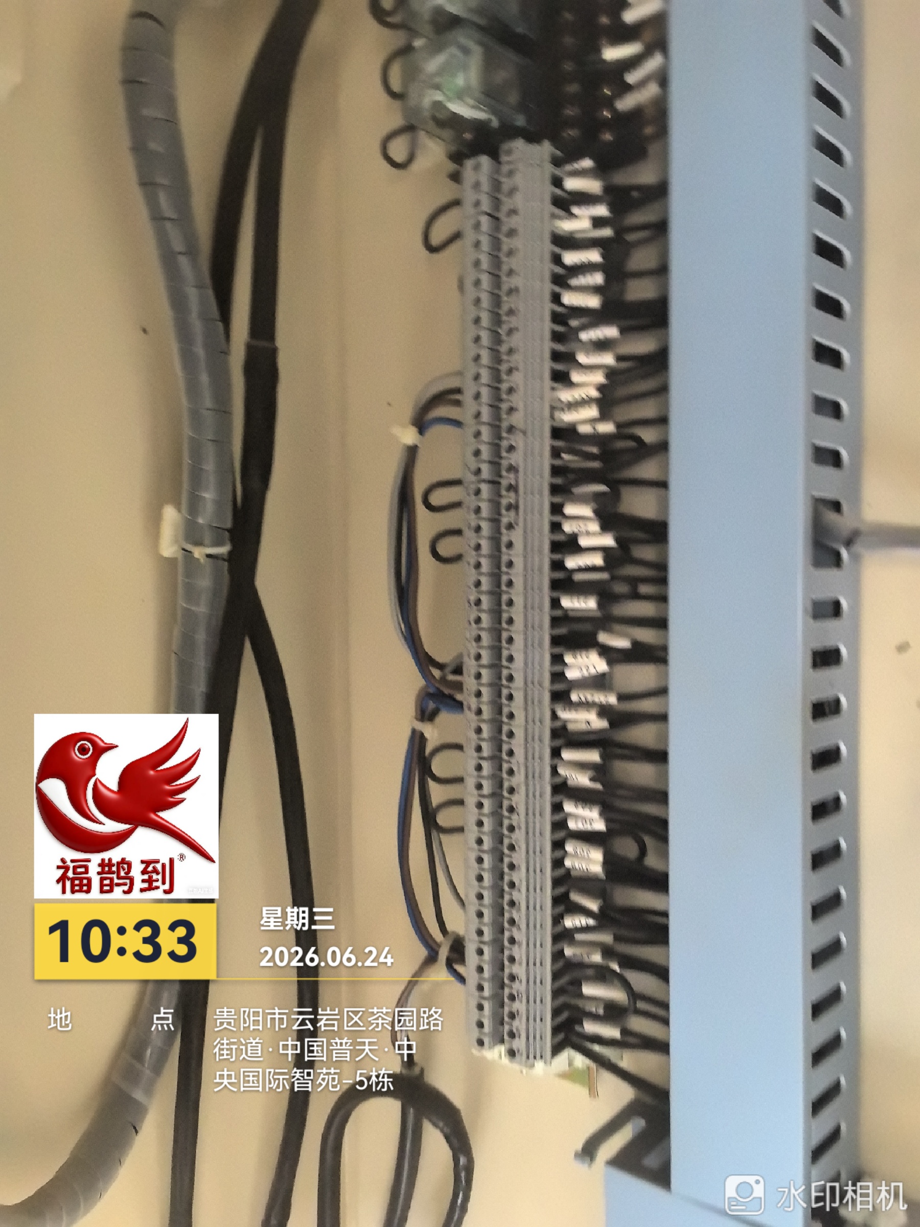 中央国际勘察照片2026.6.24（5）