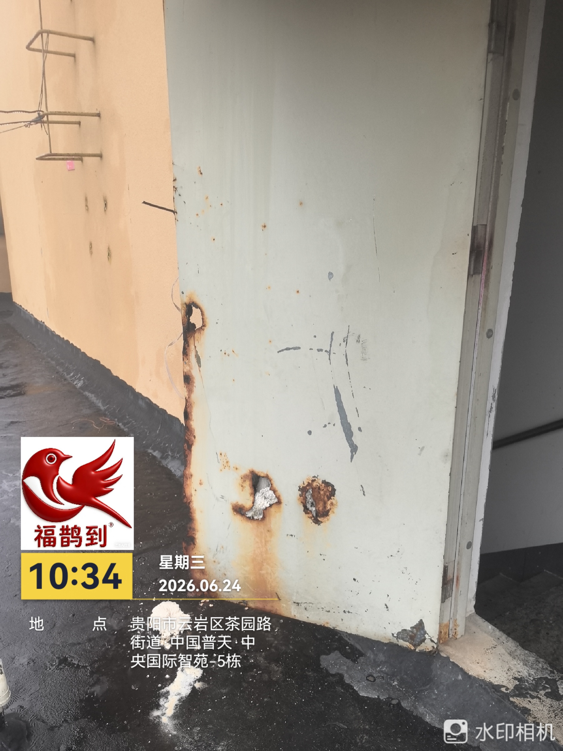 中央国际勘察照片2026.6.24（6）