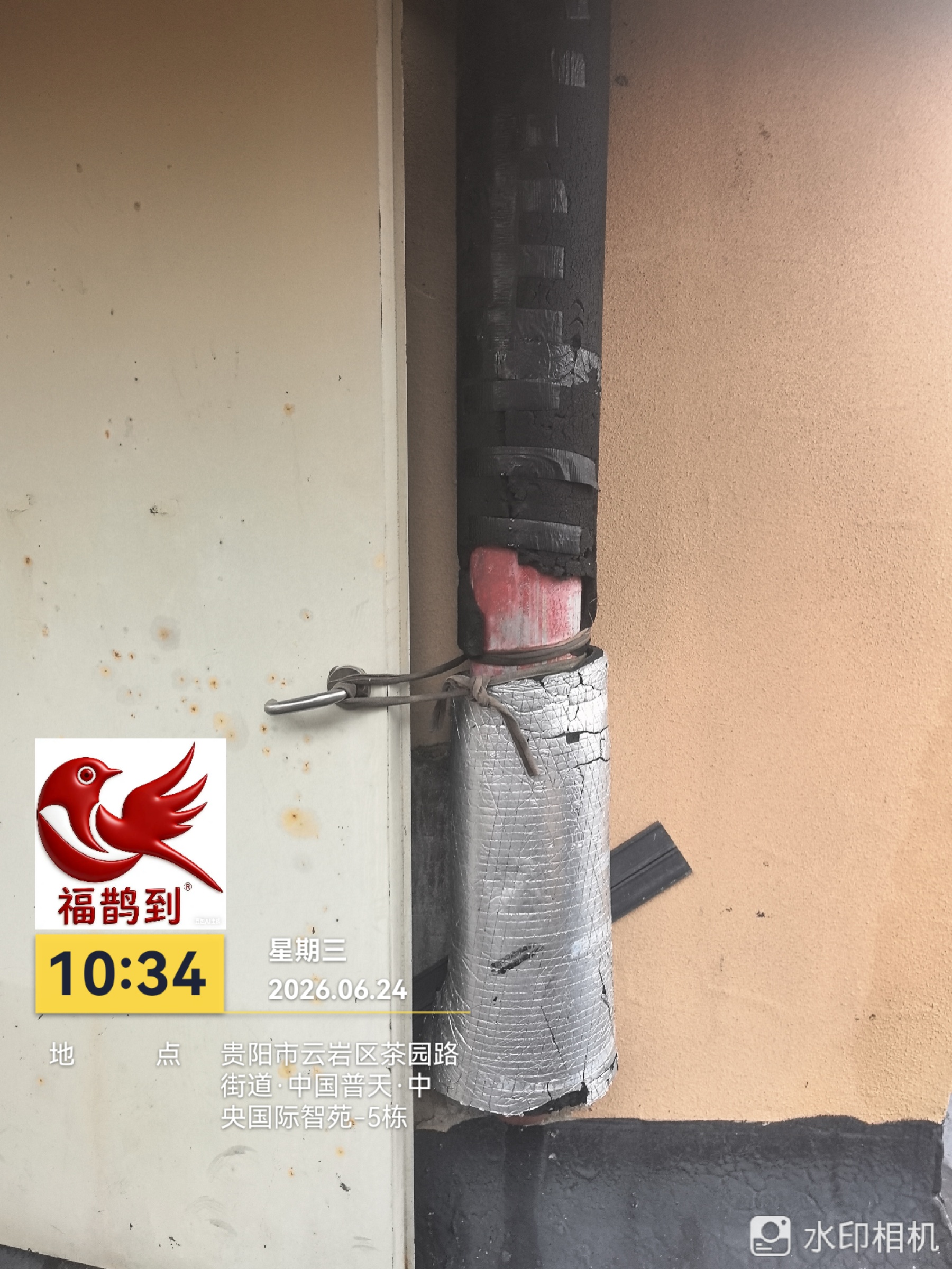 中央国际勘察照片2026.6.24（7）