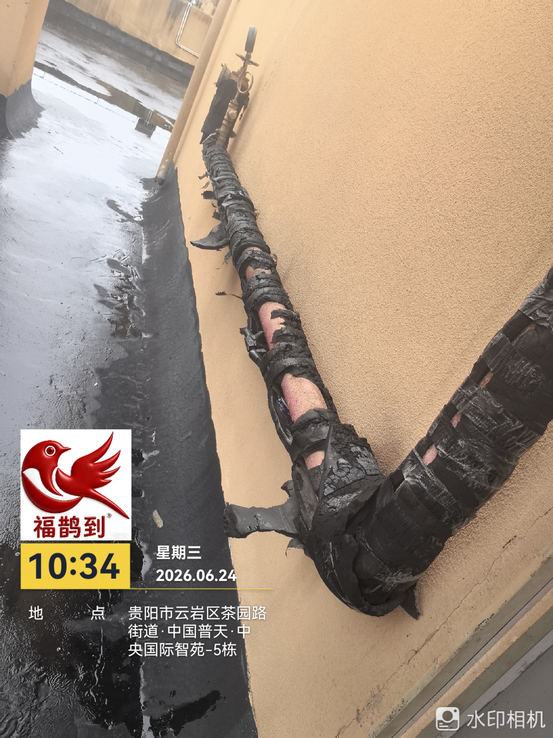 中央国际勘察照片2026.6.24（8）