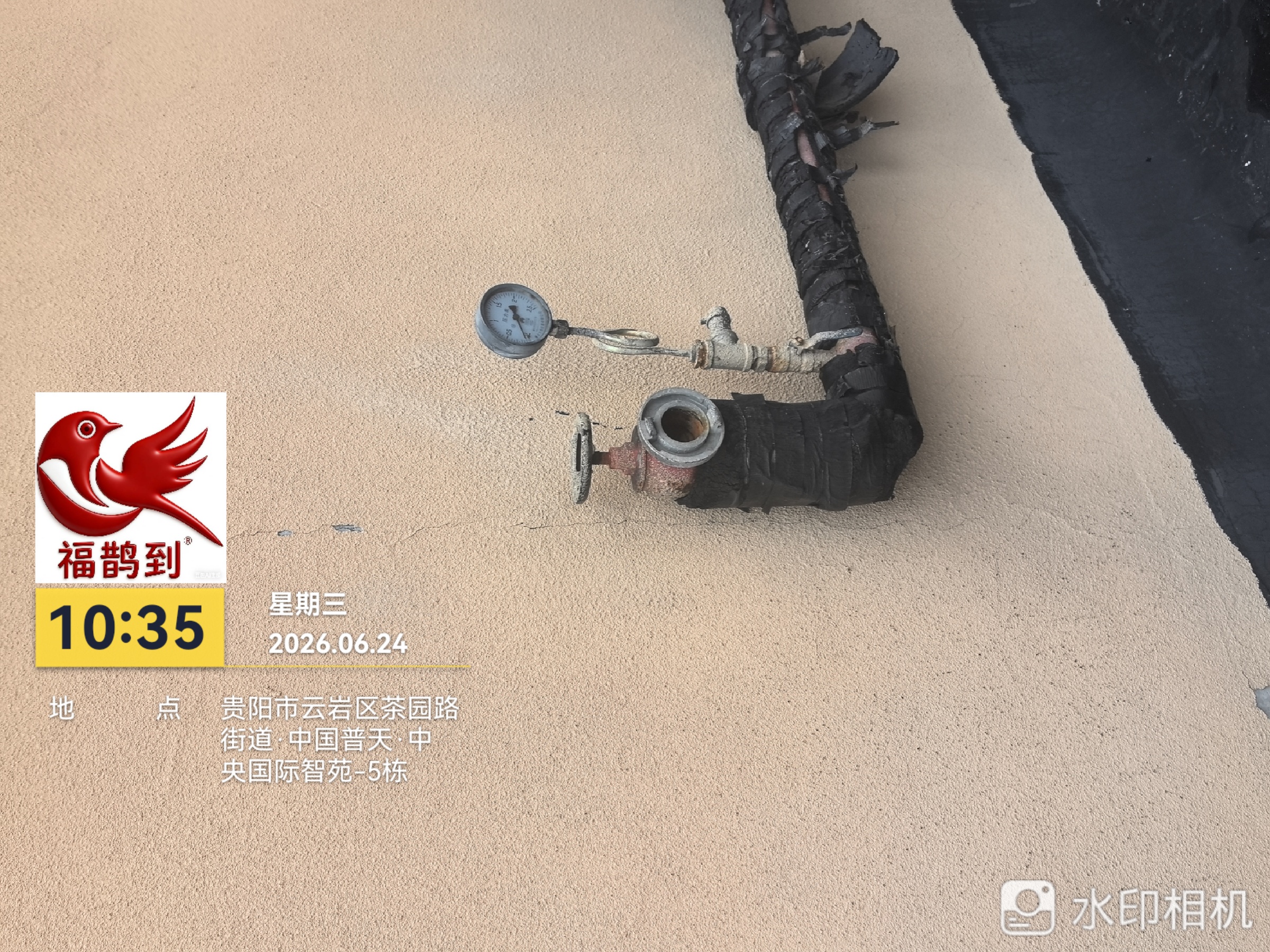 中央国际勘察照片2026.6.24（9）