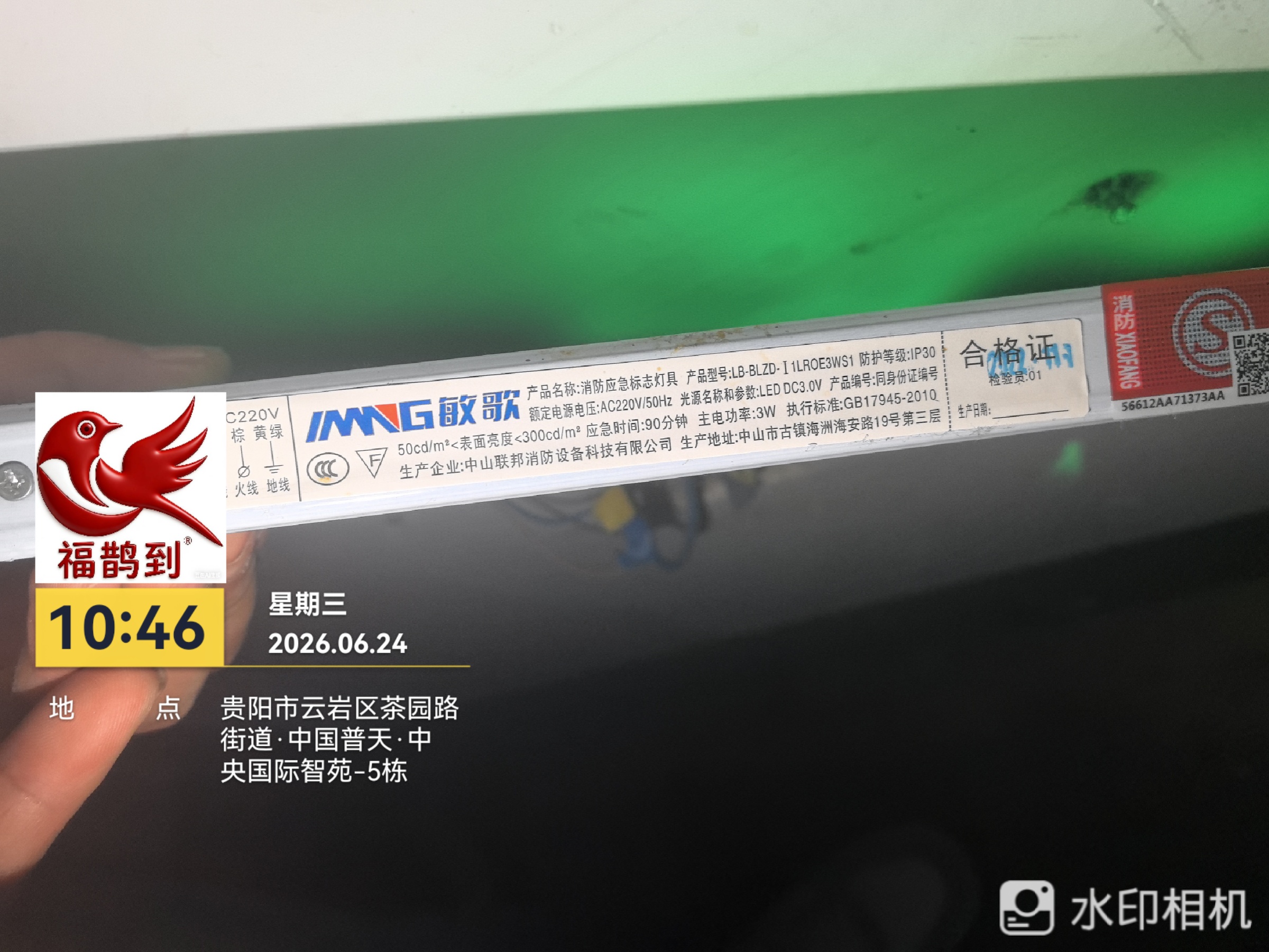 中央国际勘察照片2026.6.24（16）