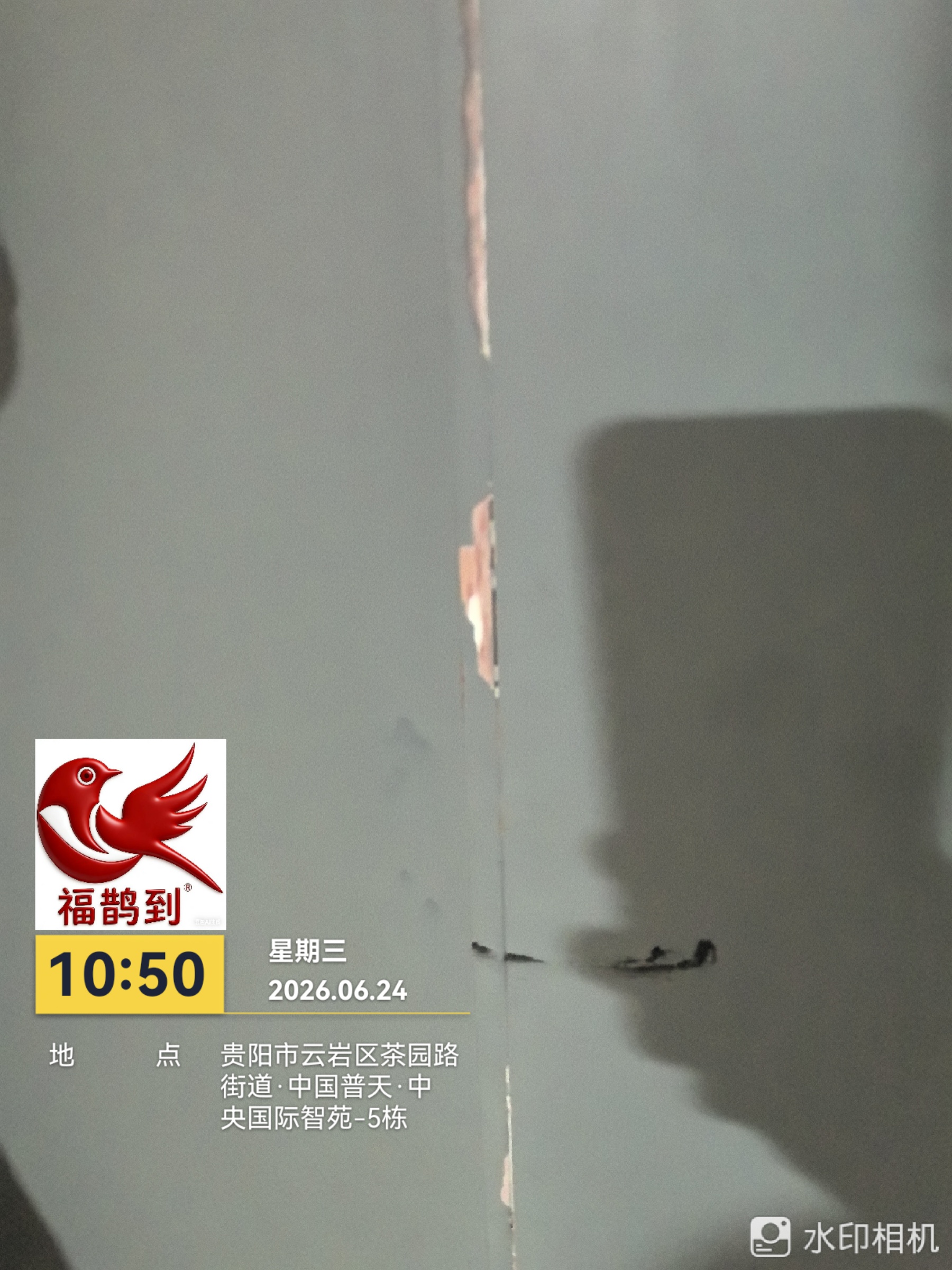 中央国际勘察照片2026.6.24（20）